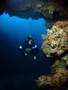 Diver in Telascica by Andy Kutsch 